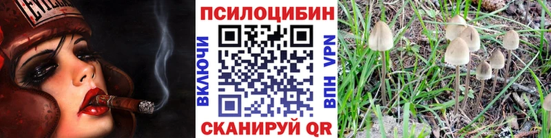 Псилоцибиновые грибы GOLDEN TEACHER  как найти наркотики  Поворино 